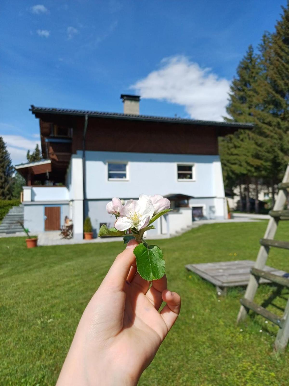 Appartements Am See Neukirchen am Großvenediger Exteriér fotografie